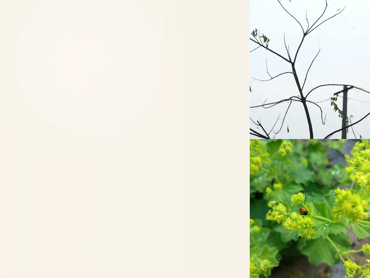 LUMEN & THREAD — Fine Jewelry
